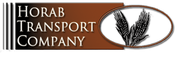 Horab Color Logo white shadow copy.png